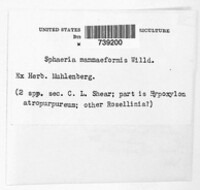Image Associated With the Occurence
